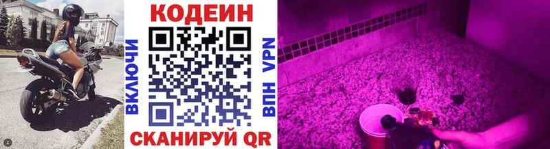 MEGA вход  где найти   Чернушка  Codein Purple Drank 