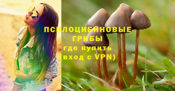 скорость Алексин